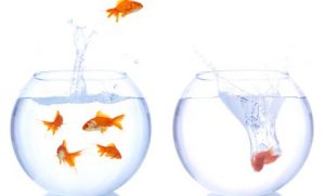move your IRA offshore